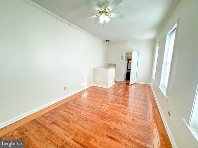 72 S Charlotte Street photo 31