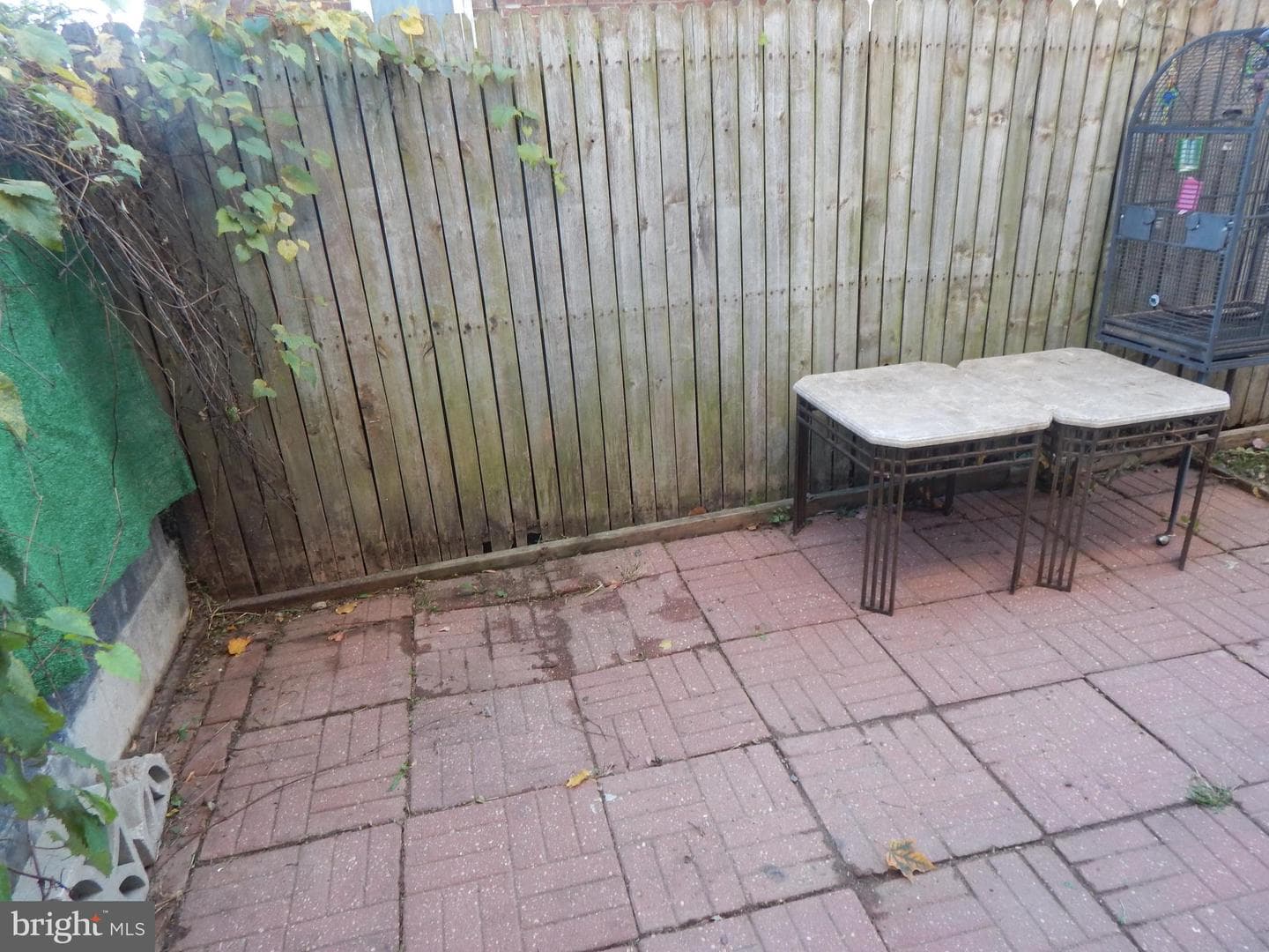 233 N Evans Street photo 31