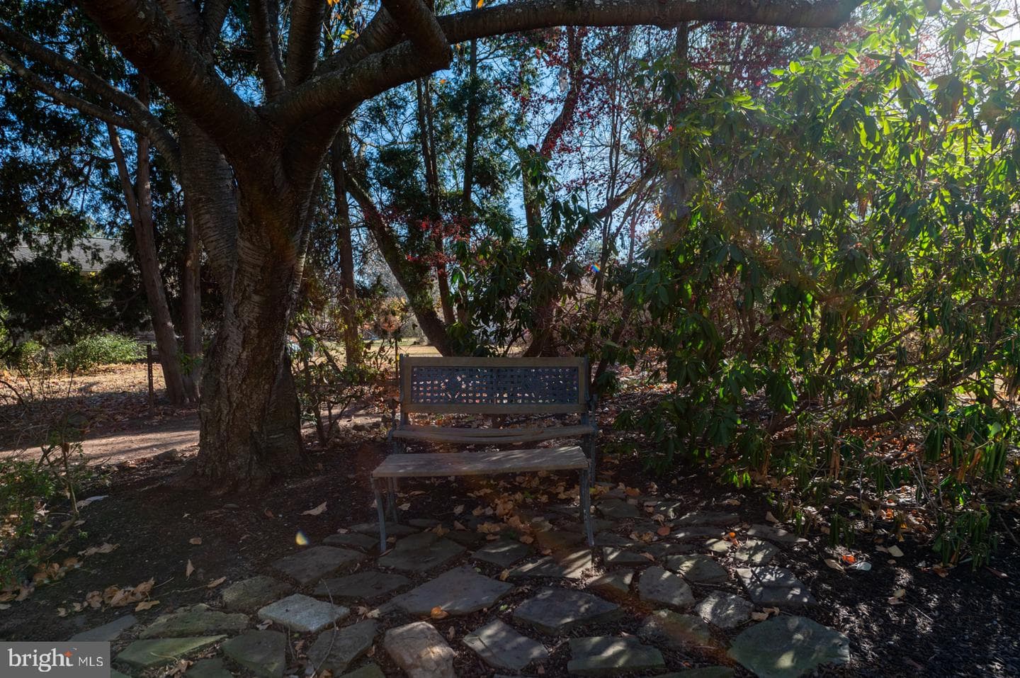 48 College Avenue photo 16