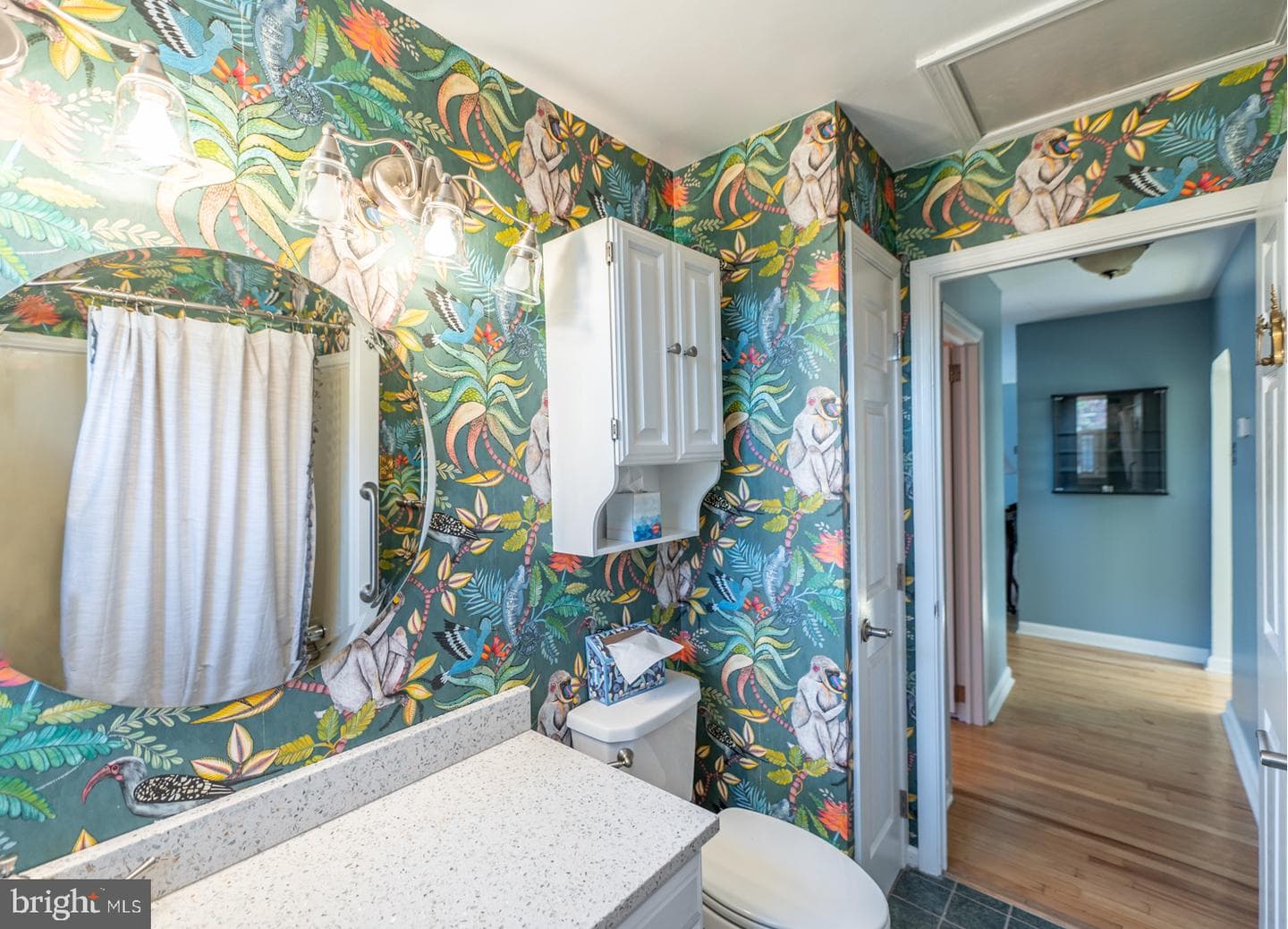 48 College Avenue photo 53