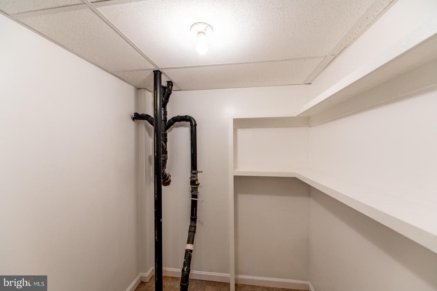 48 College Avenue photo 69