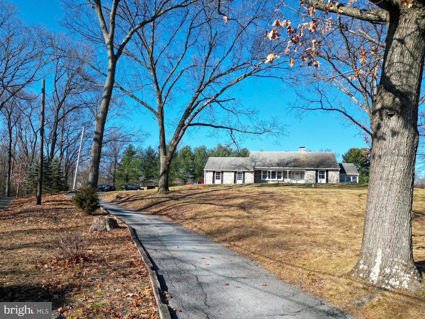 1429 N Hanover Street photo 3