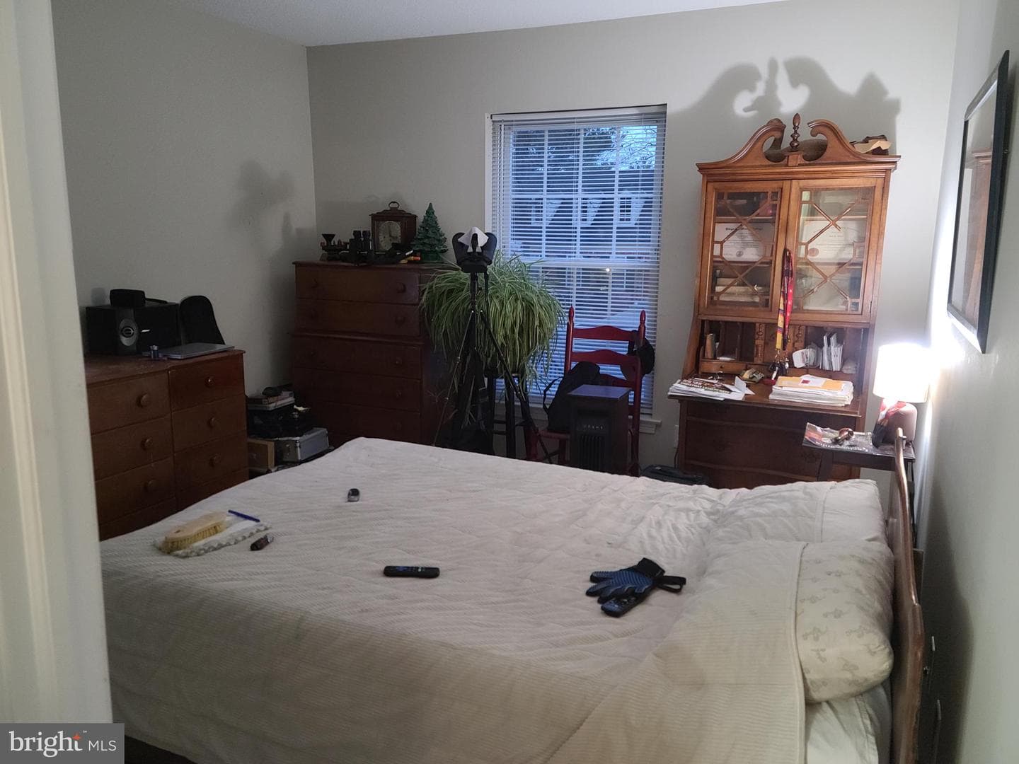 109 Oberlin Terrace #17f photo 4