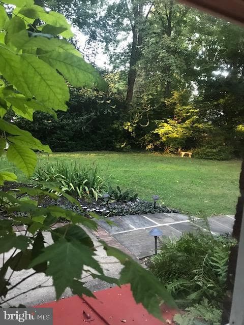 729 Alene Road photo 53