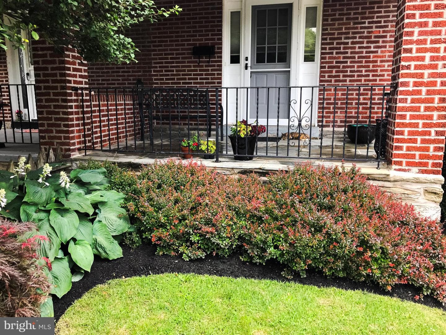 317 Locust Avenue photo 41