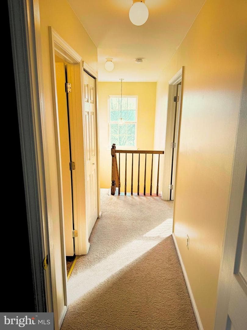 605 Hamilton Street photo 14