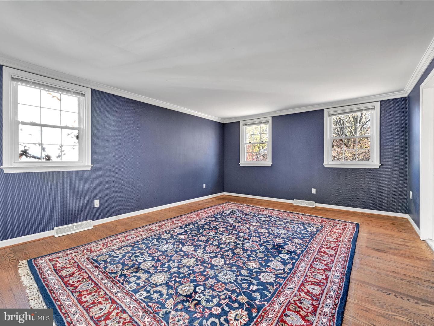 104 Shirley Road photo 16