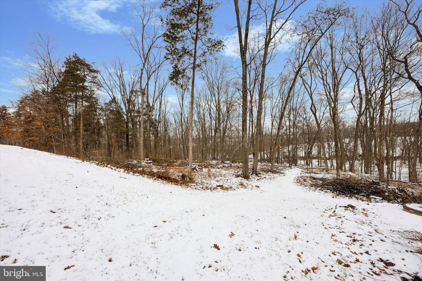 185 Clover Lane photo 50