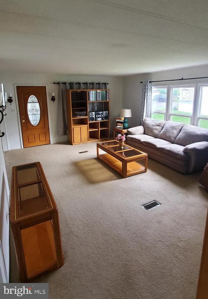 281 Winding Brook Run photo 10