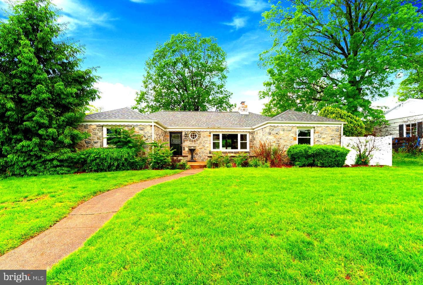 1005 Spruce Street photo 1