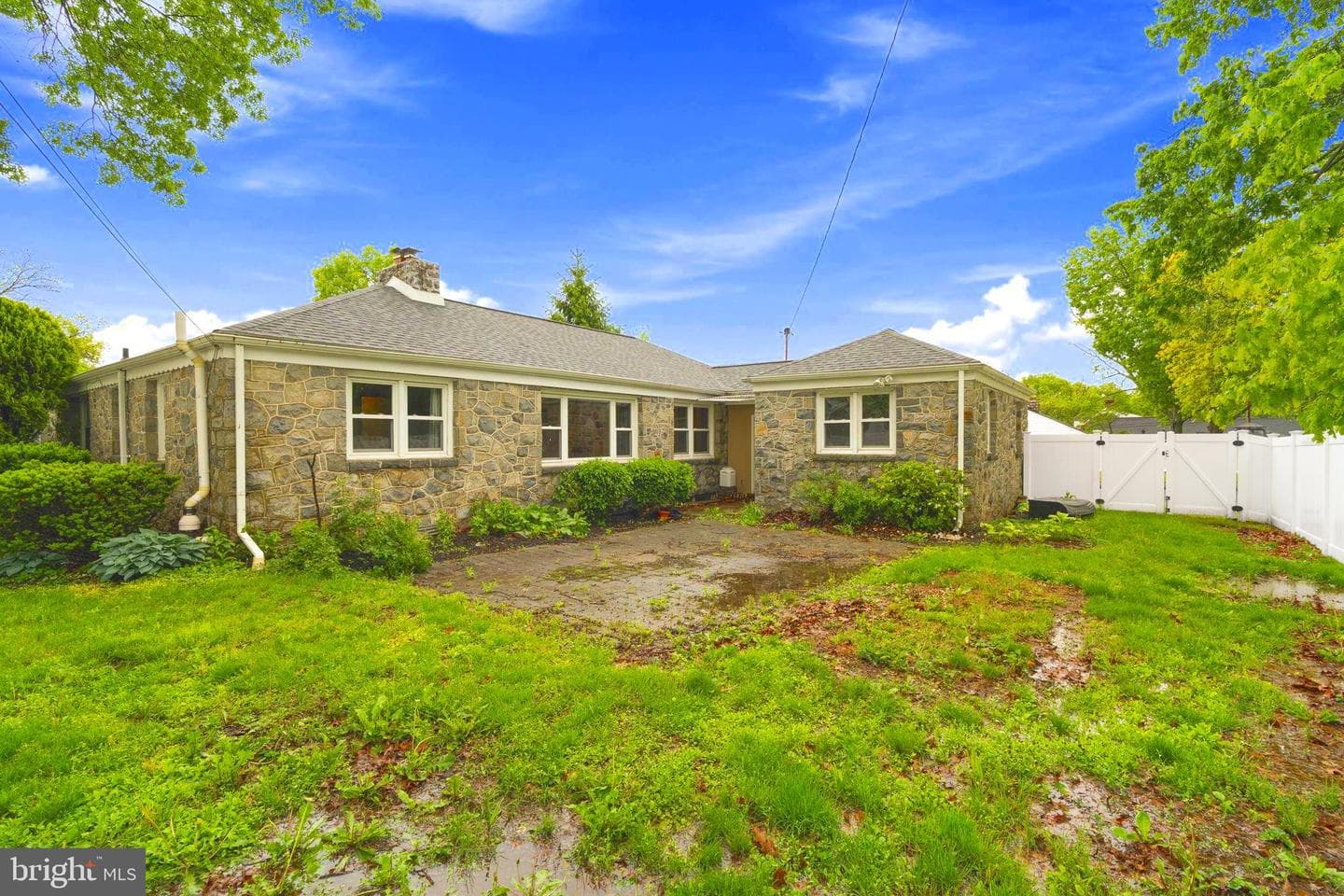 1005 Spruce Street photo 4