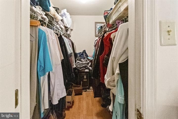 136 Hedgerow Drive photo 20