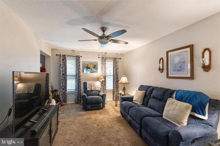136 Hedgerow Drive photo 3