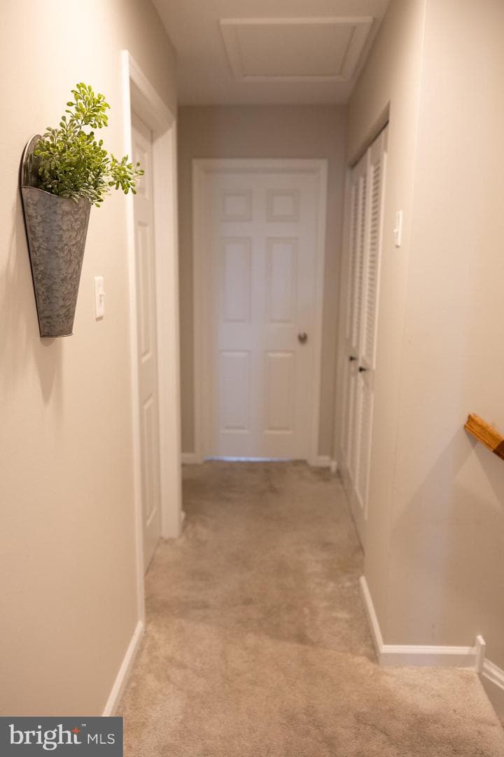 120 Fawn Drive photo 27