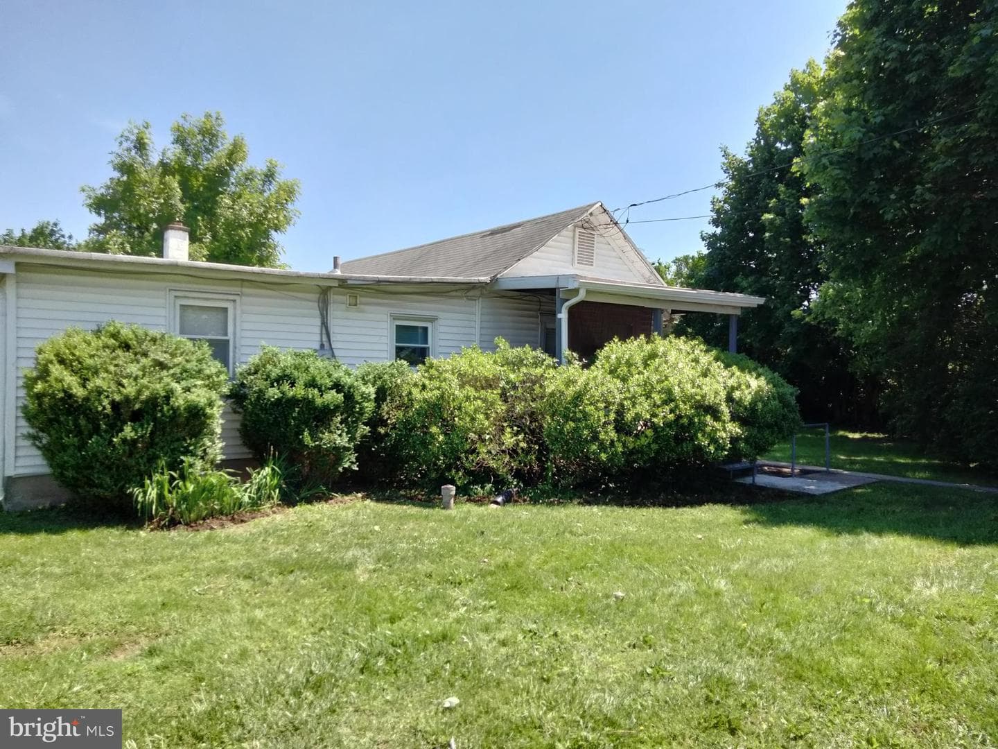 335 Ash Street photo 3