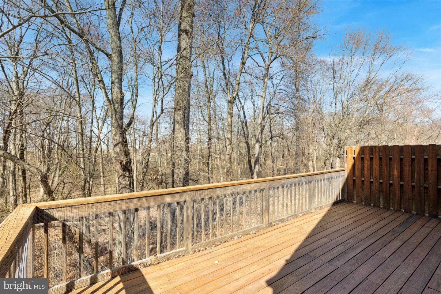 268 Tulip Tree Court photo 37