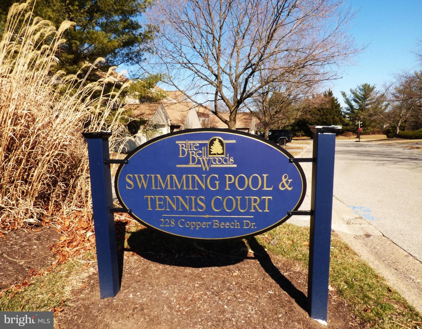 268 Tulip Tree Court photo 42