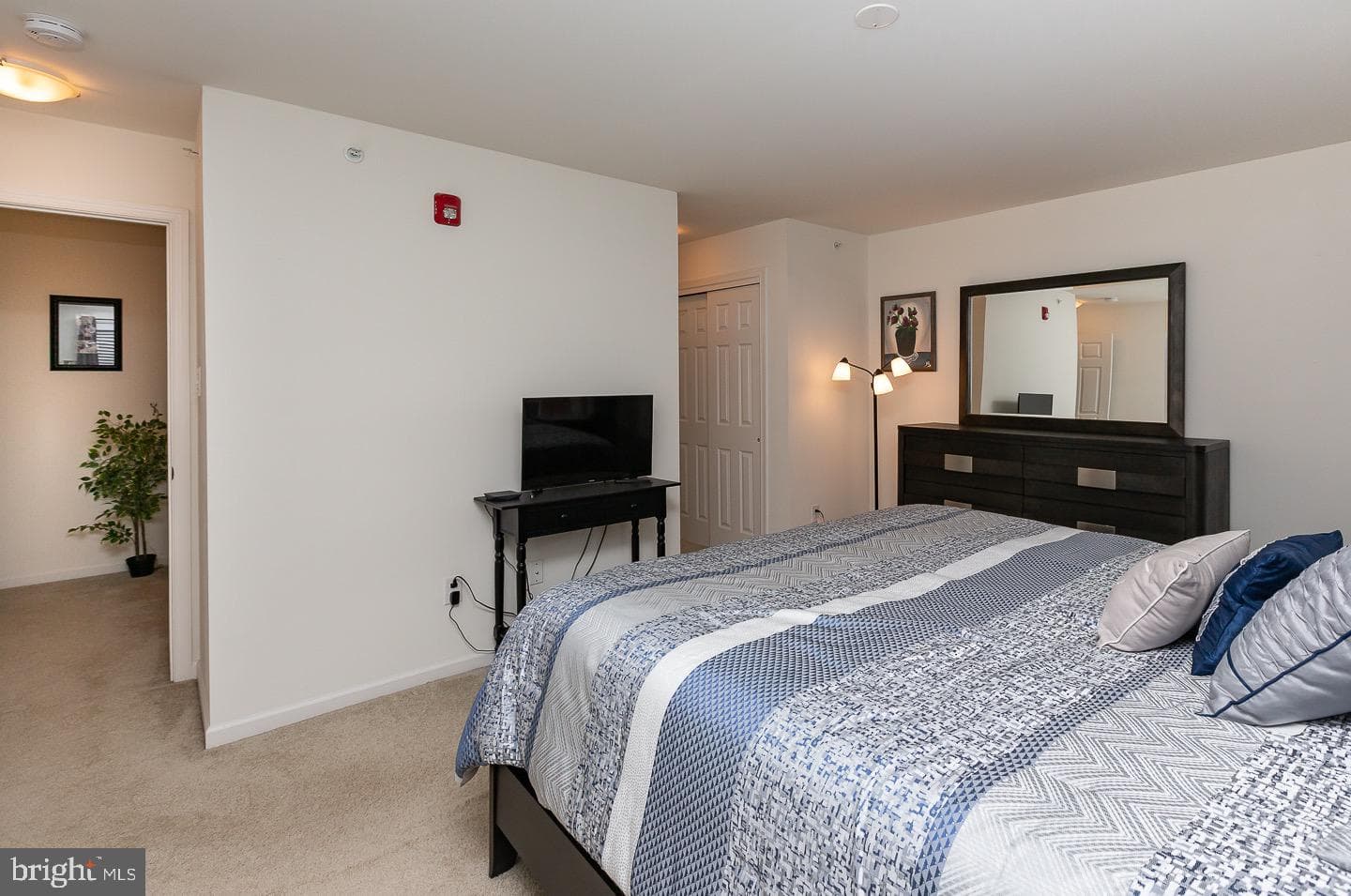 1515 Dekalb Street #110 photo 26