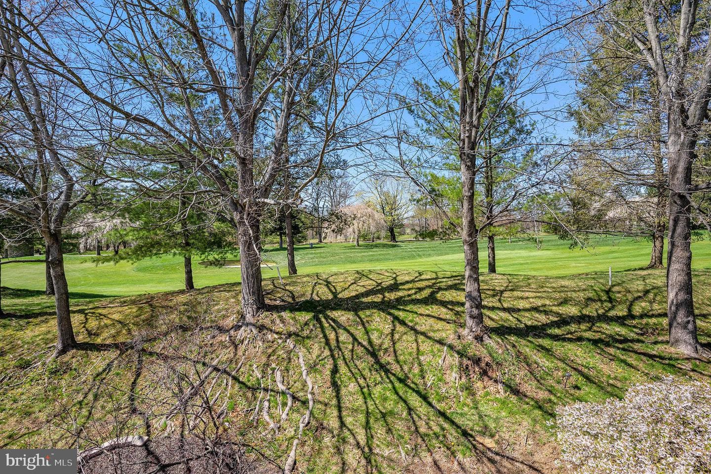 1105 Brynhill Court photo 29