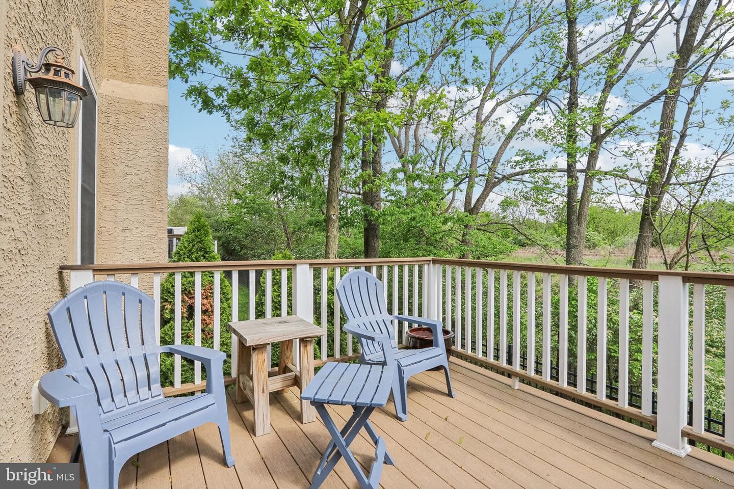 117 Carriage Court photo 48