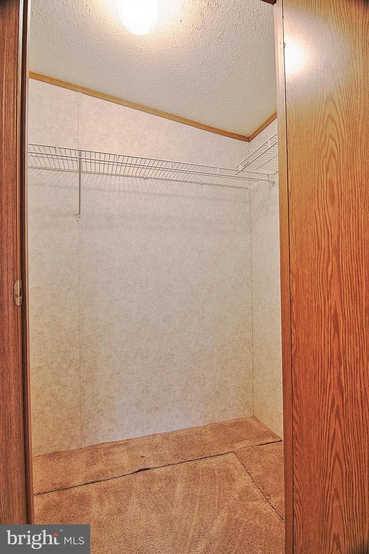 504 Maple Drive photo 15
