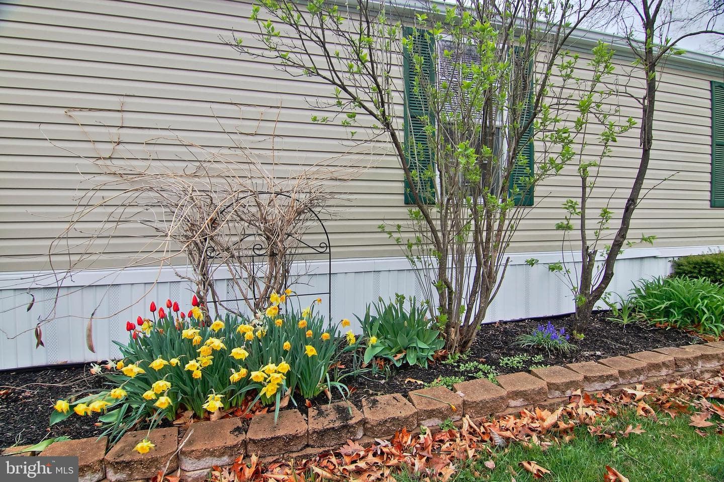 504 Maple Drive photo 27