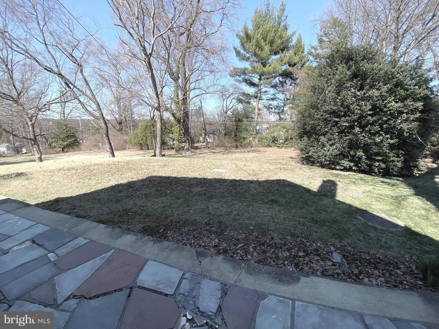 19 Woodhill Road photo 23