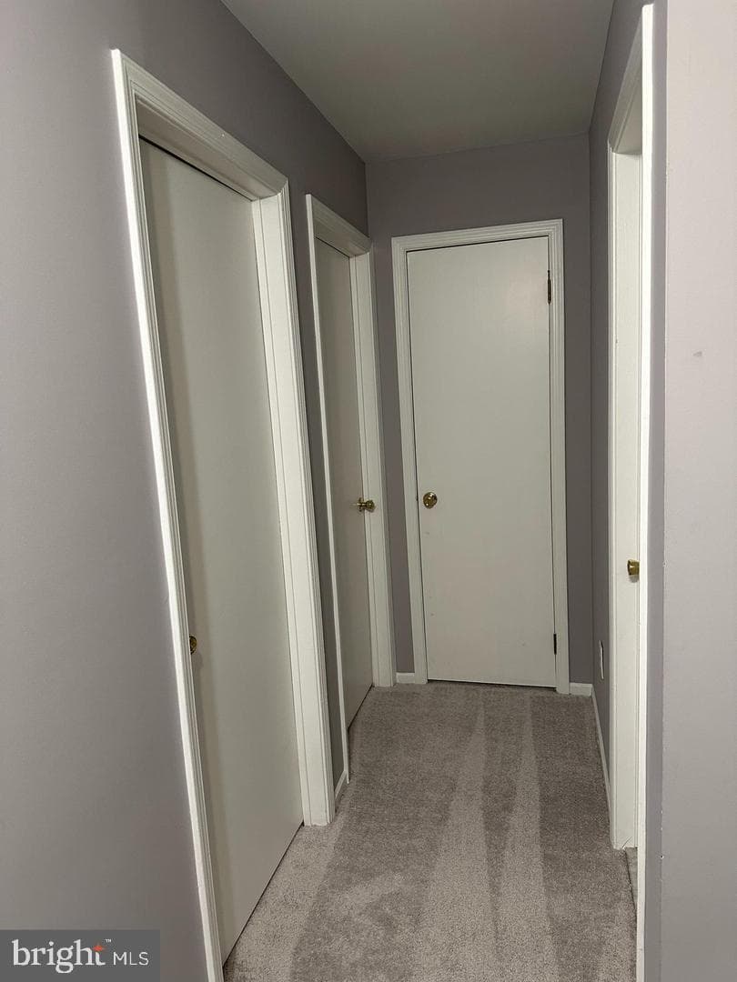 328 Lexington Road photo 21