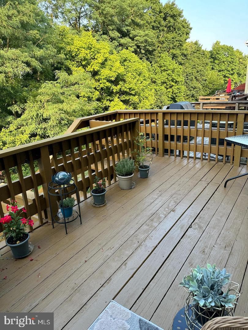 328 Lexington Road photo 43