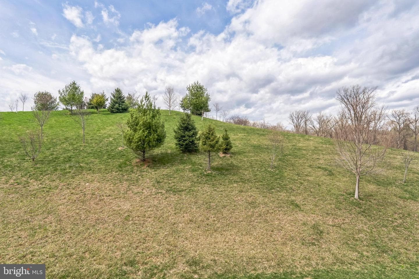 2138 Julia Drive photo 31