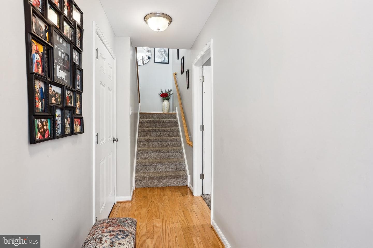 442 Williamson Court photo 6