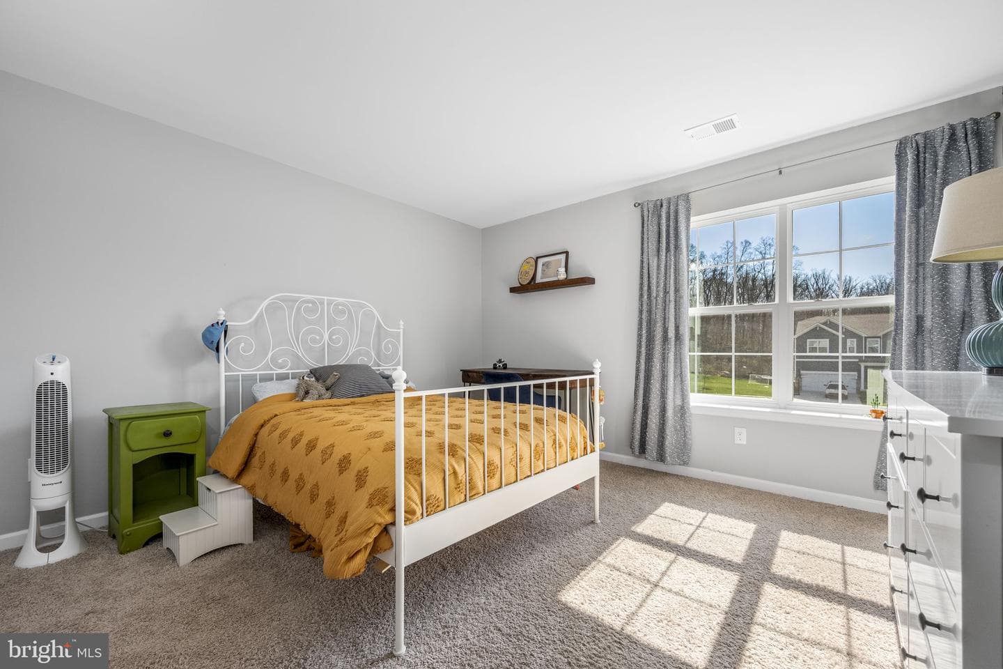 222 Ruthies Way photo 16