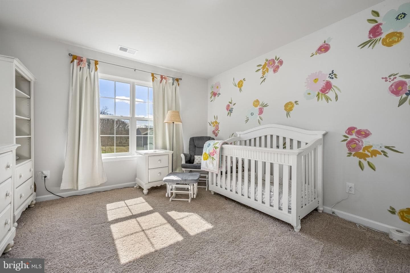 222 Ruthies Way photo 17