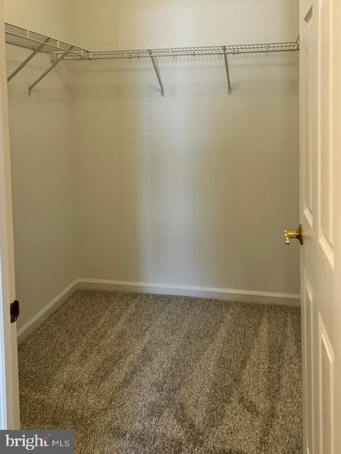 104 Barrington Way photo 21