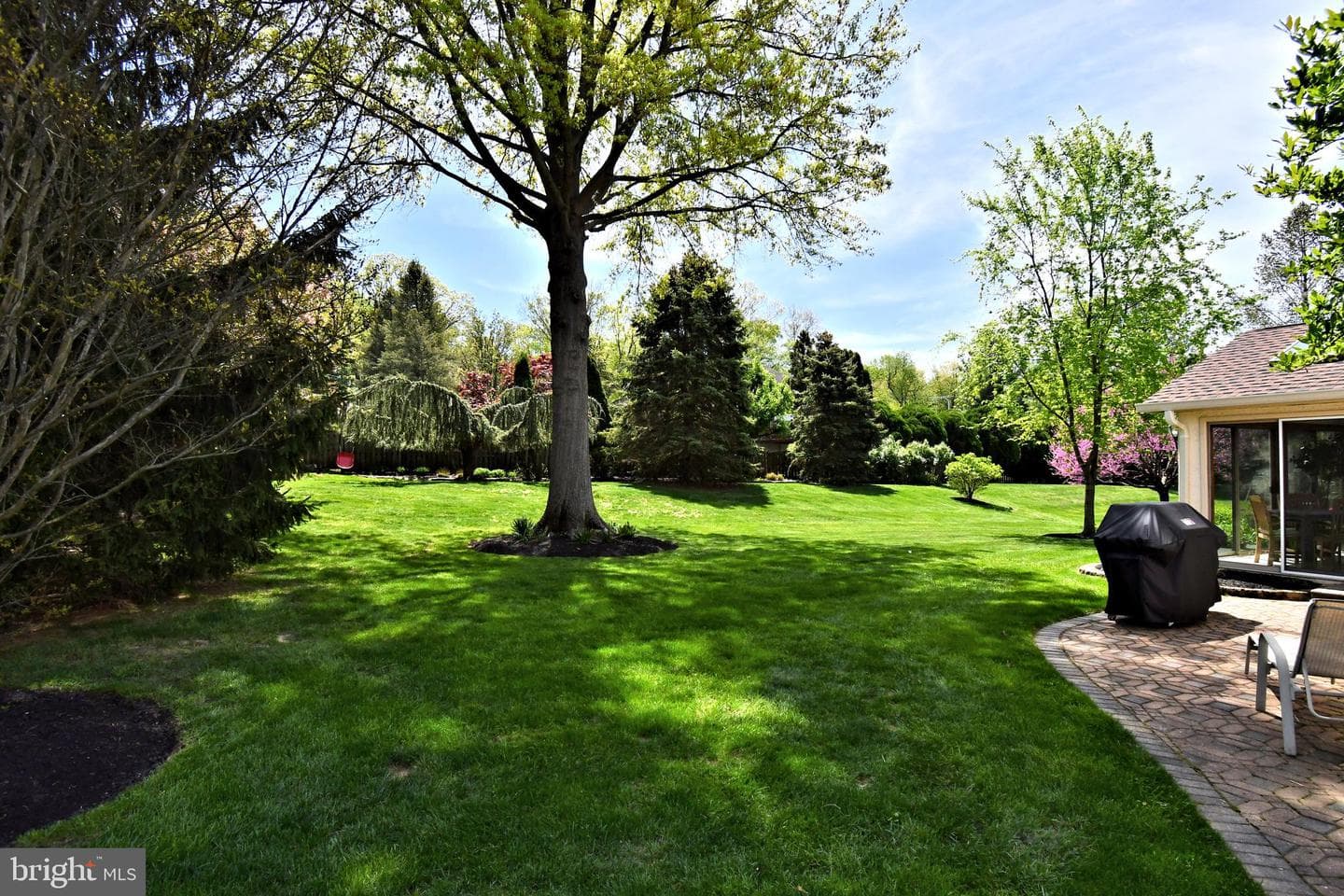 6 Chandler Court photo 81