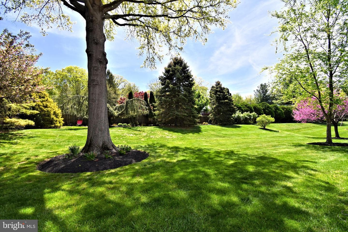 6 Chandler Court photo 82
