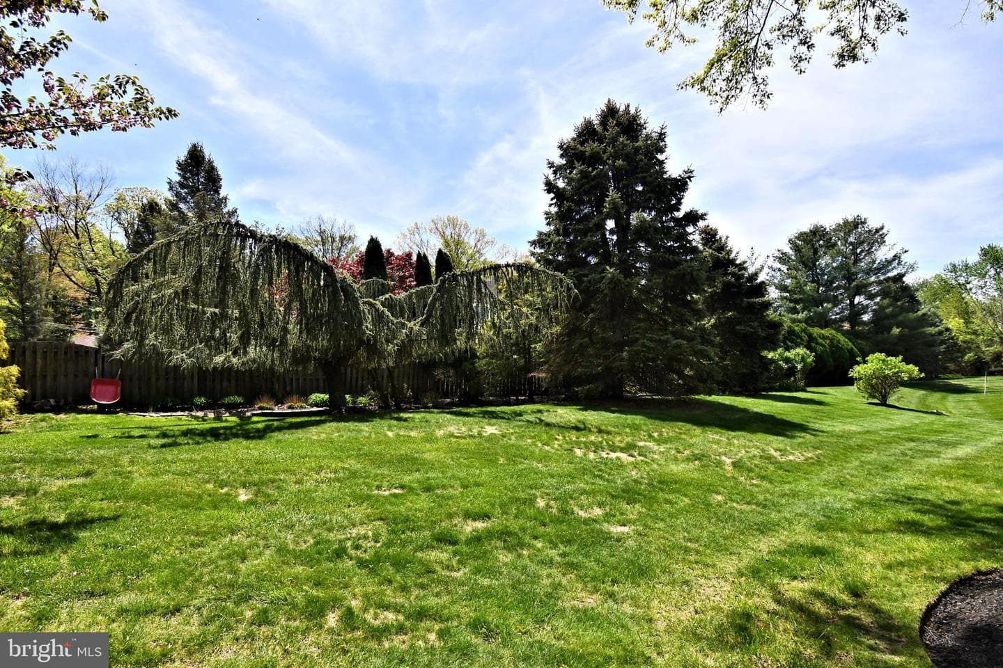 6 Chandler Court photo 83