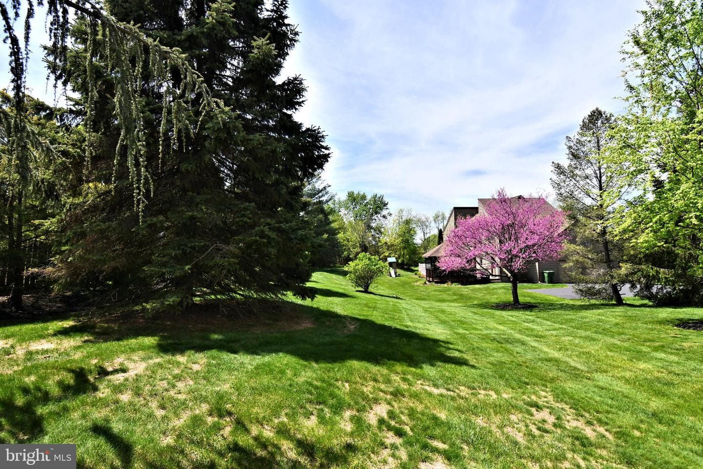6 Chandler Court photo 85