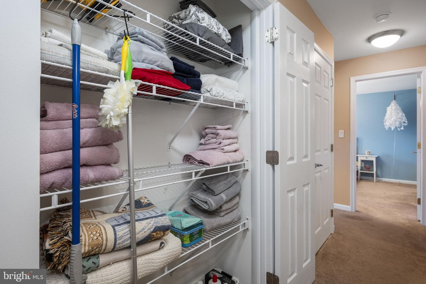 1008 Horseshoe Drive #1008 photo 13