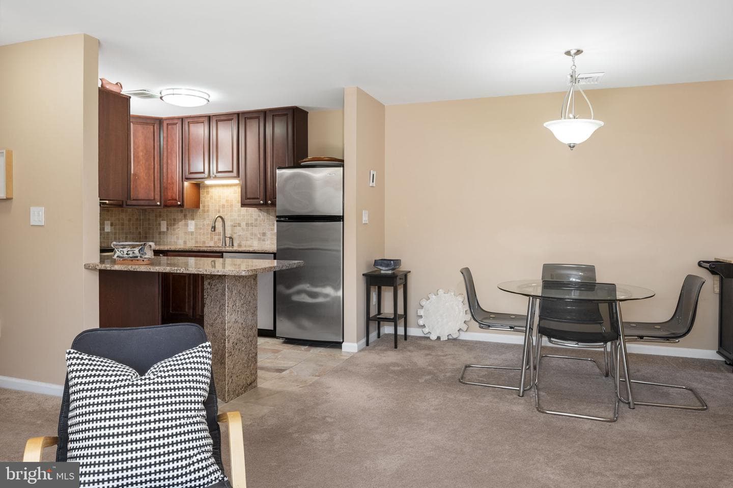 1008 Horseshoe Drive #1008 photo 9