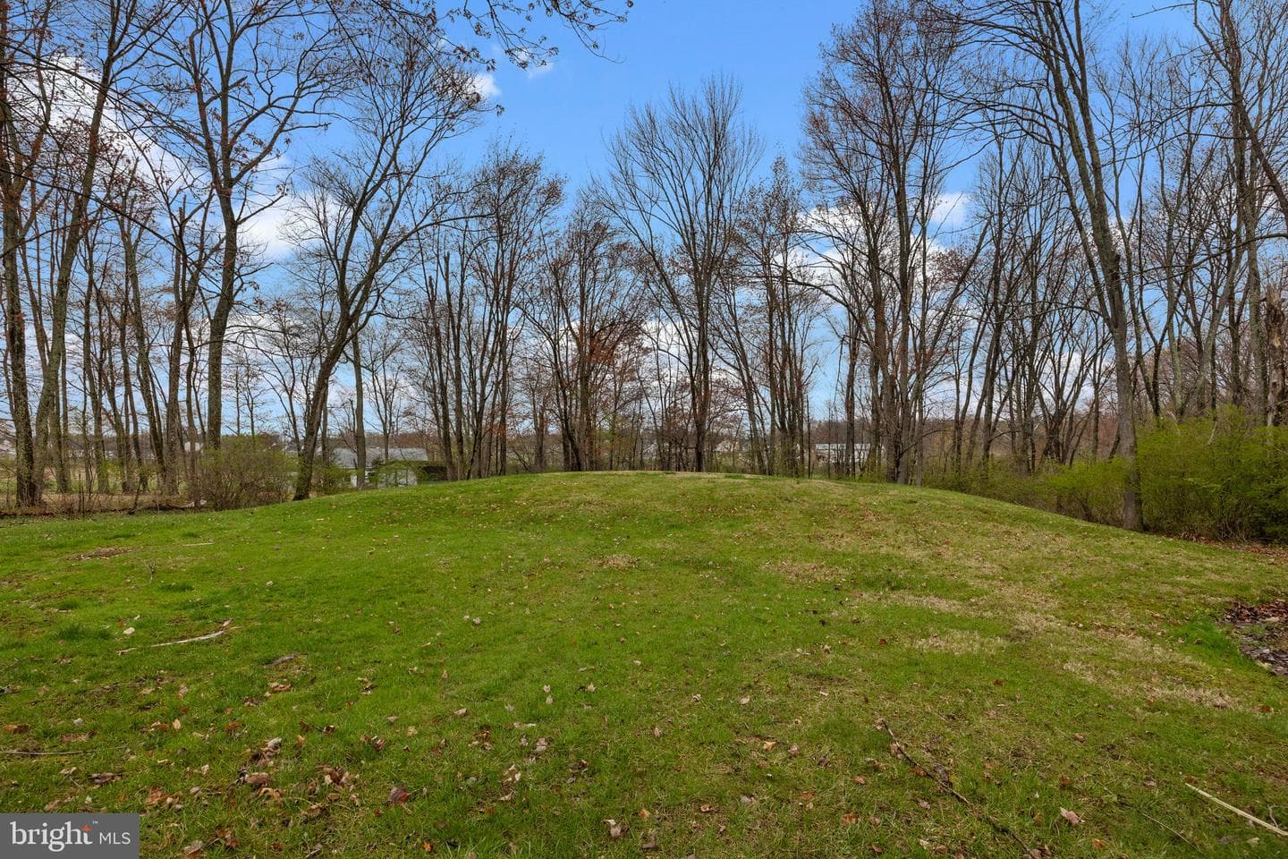 104 Park Road photo 30