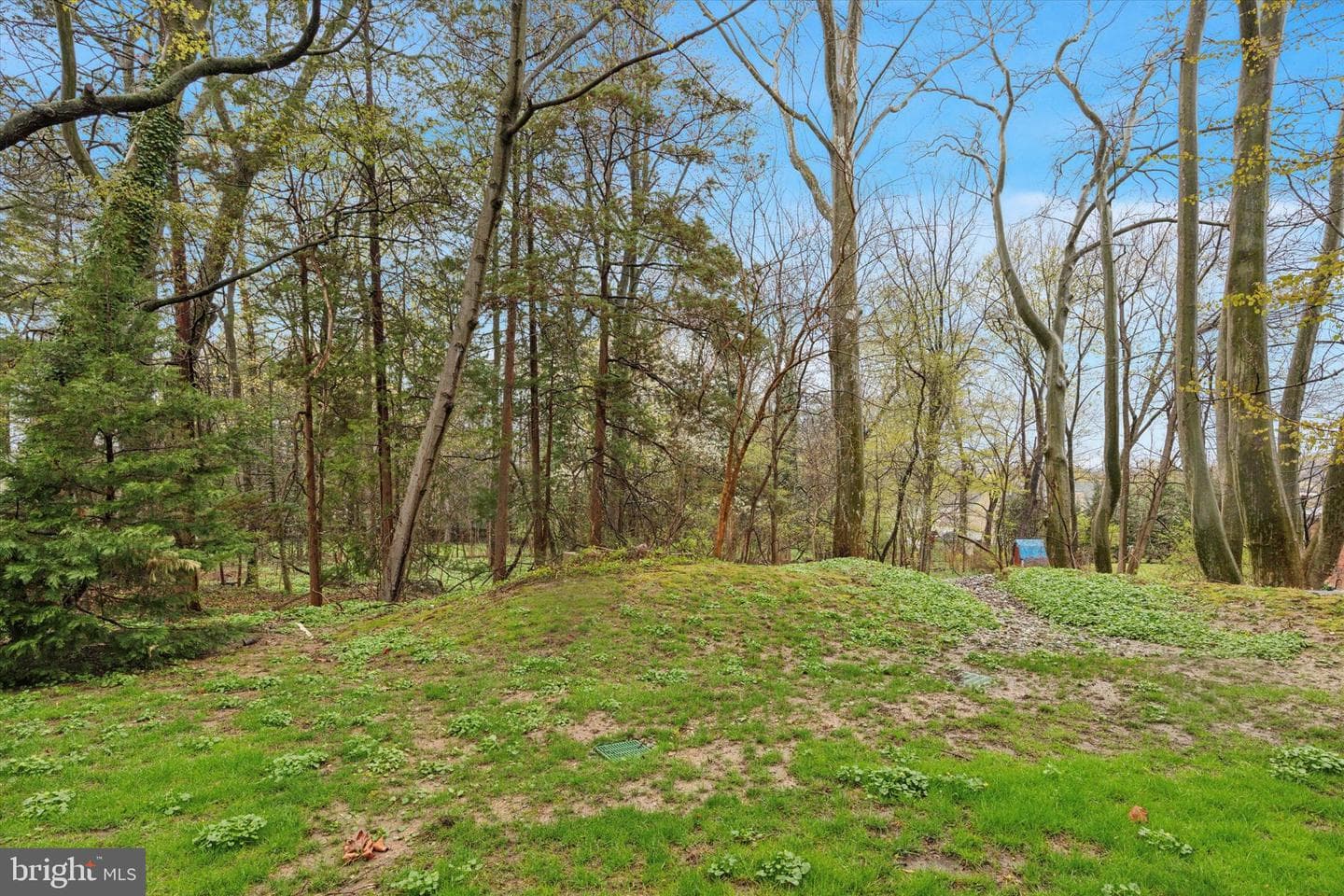 405 Glen Arbor Court photo 34