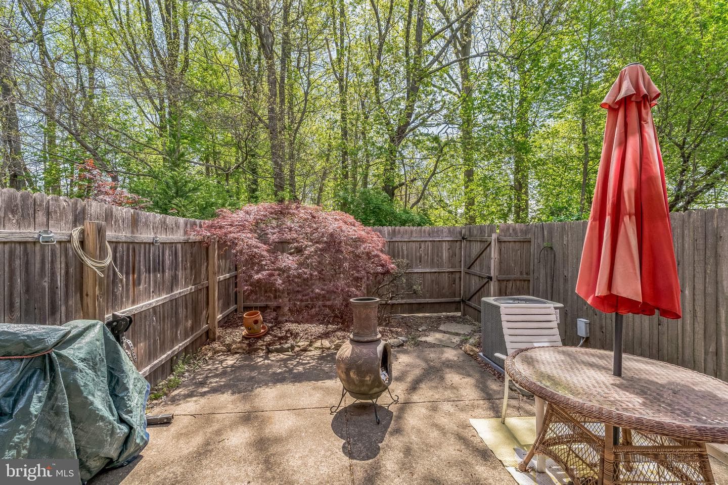 118 Macklenburg Drive #19-C photo 19