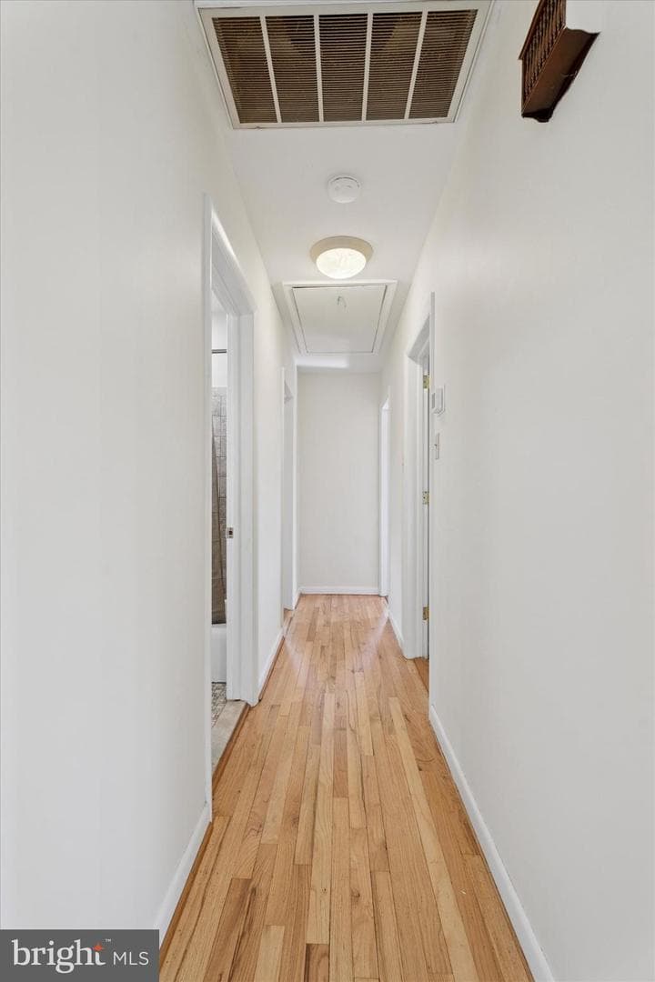 509 Vaughn Road photo 14