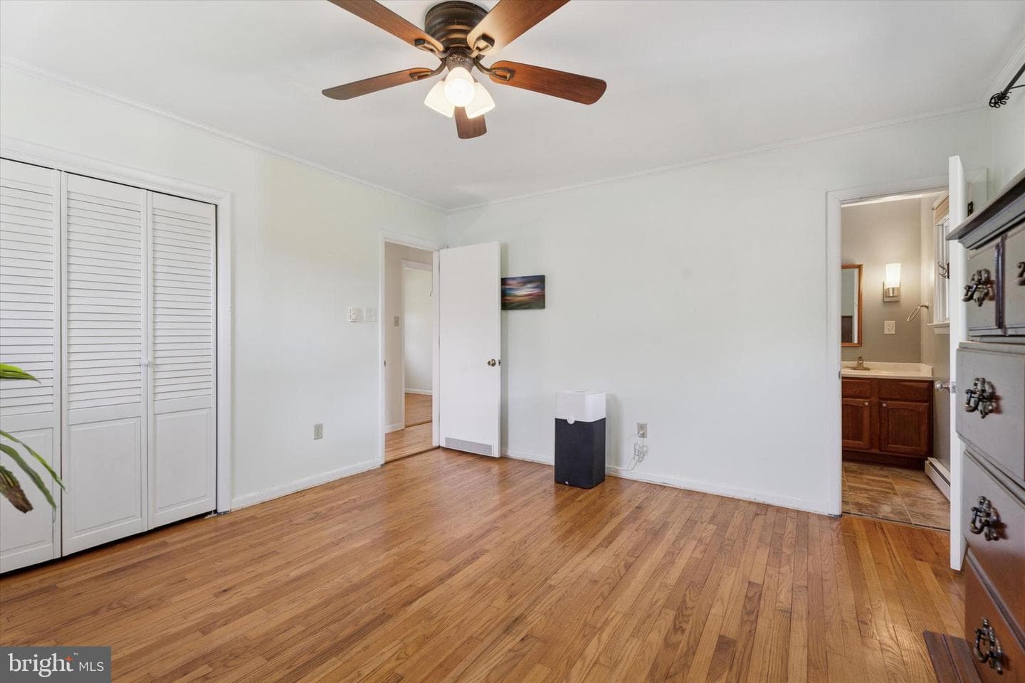 509 Vaughn Road photo 19
