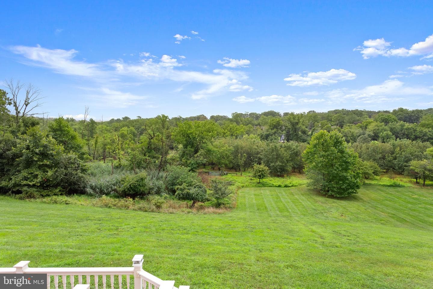 1368 Spring Hill Road photo 62