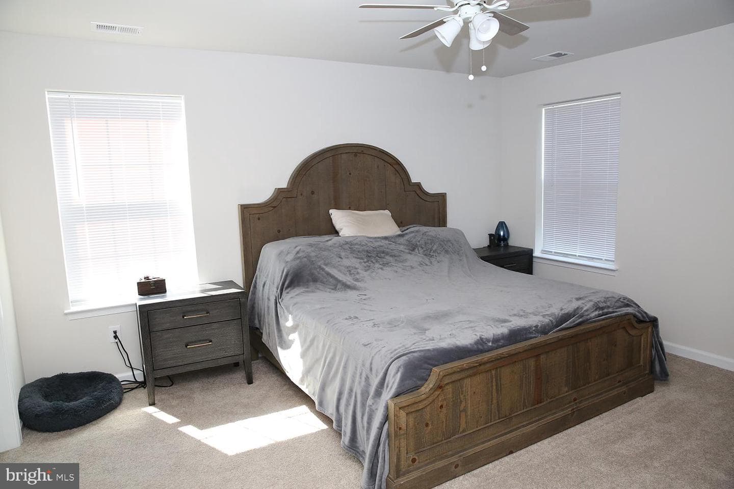 185 Petal Drive photo 17