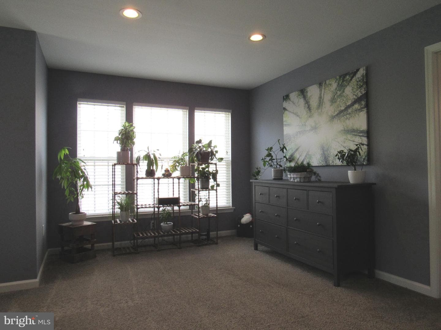 2645 Briana Drive photo 36