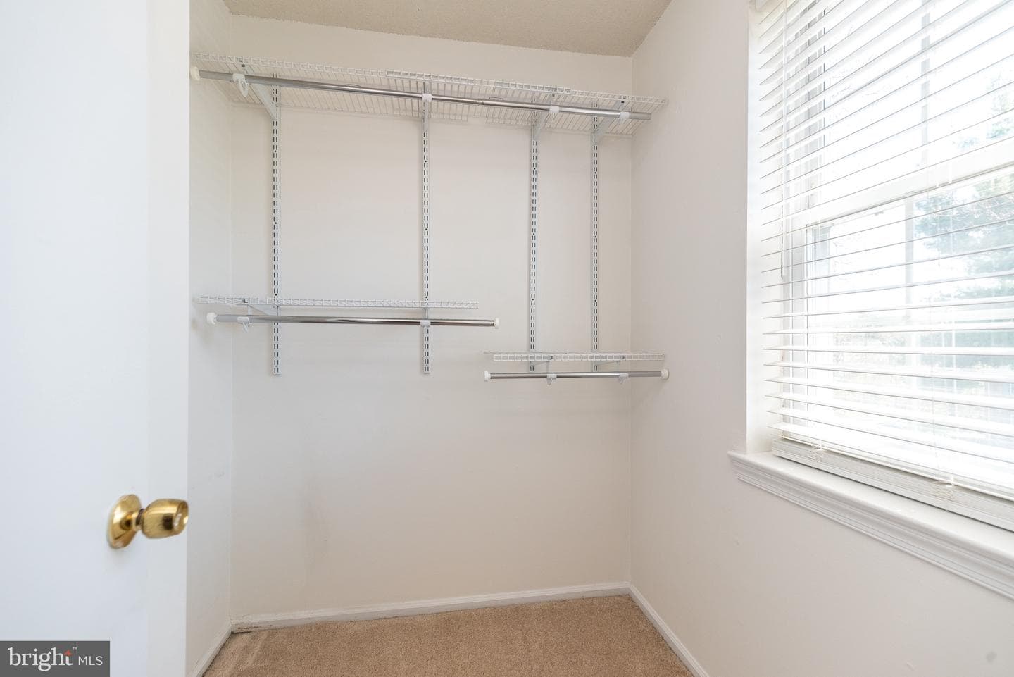 115 Ardwick Terrace photo 20