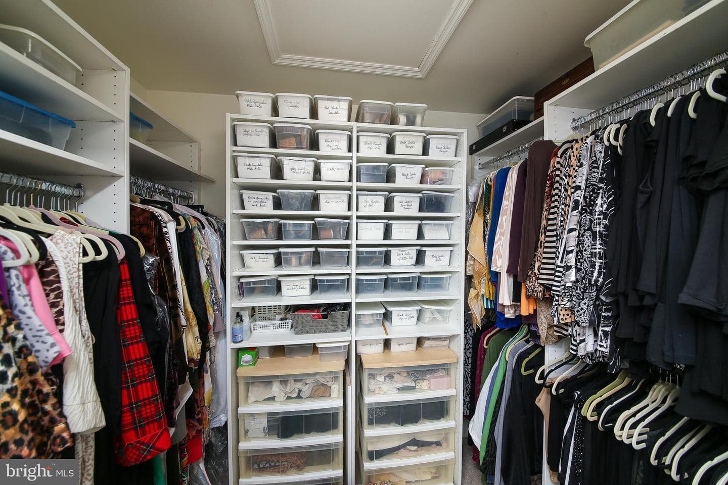 404 Tamworth Court photo 19